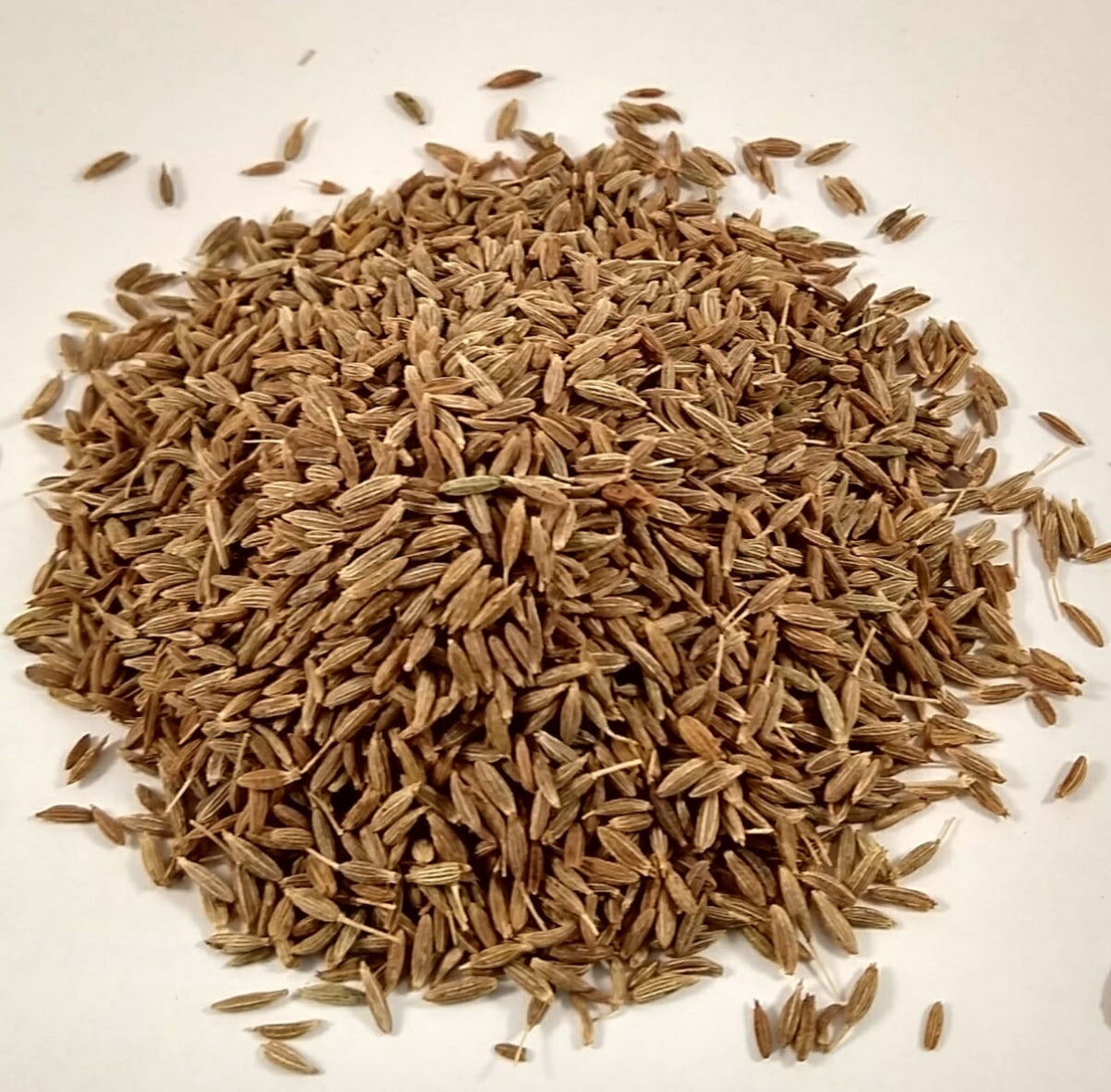 Cumin Seeds (whole)