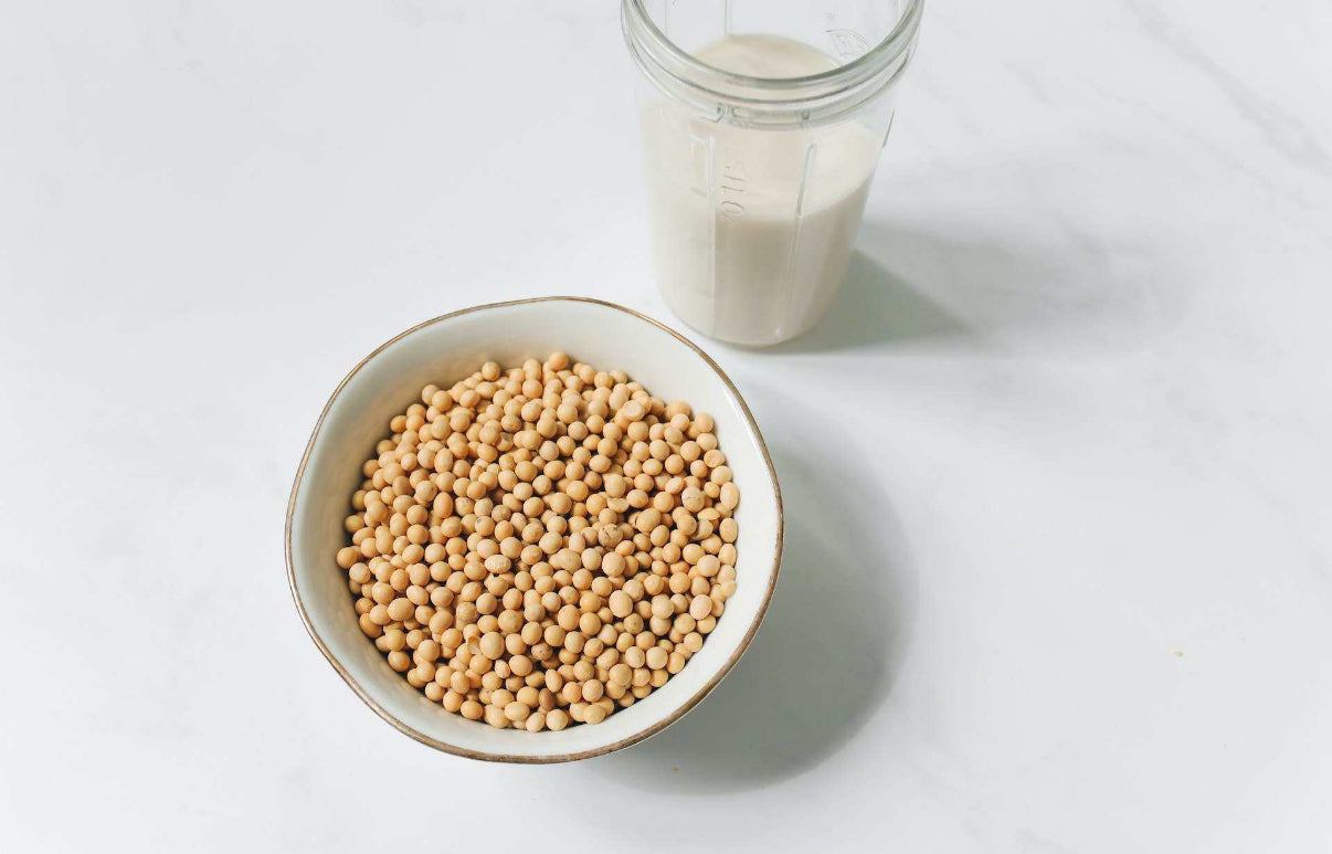 Dry Soybeans – Premium Quality