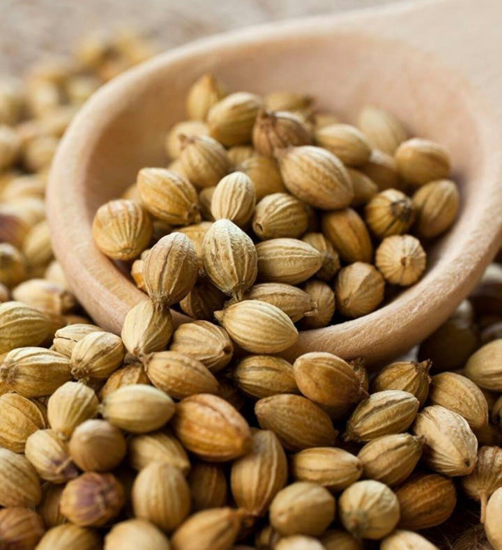 Coriander Seeds (Whole Seeds)