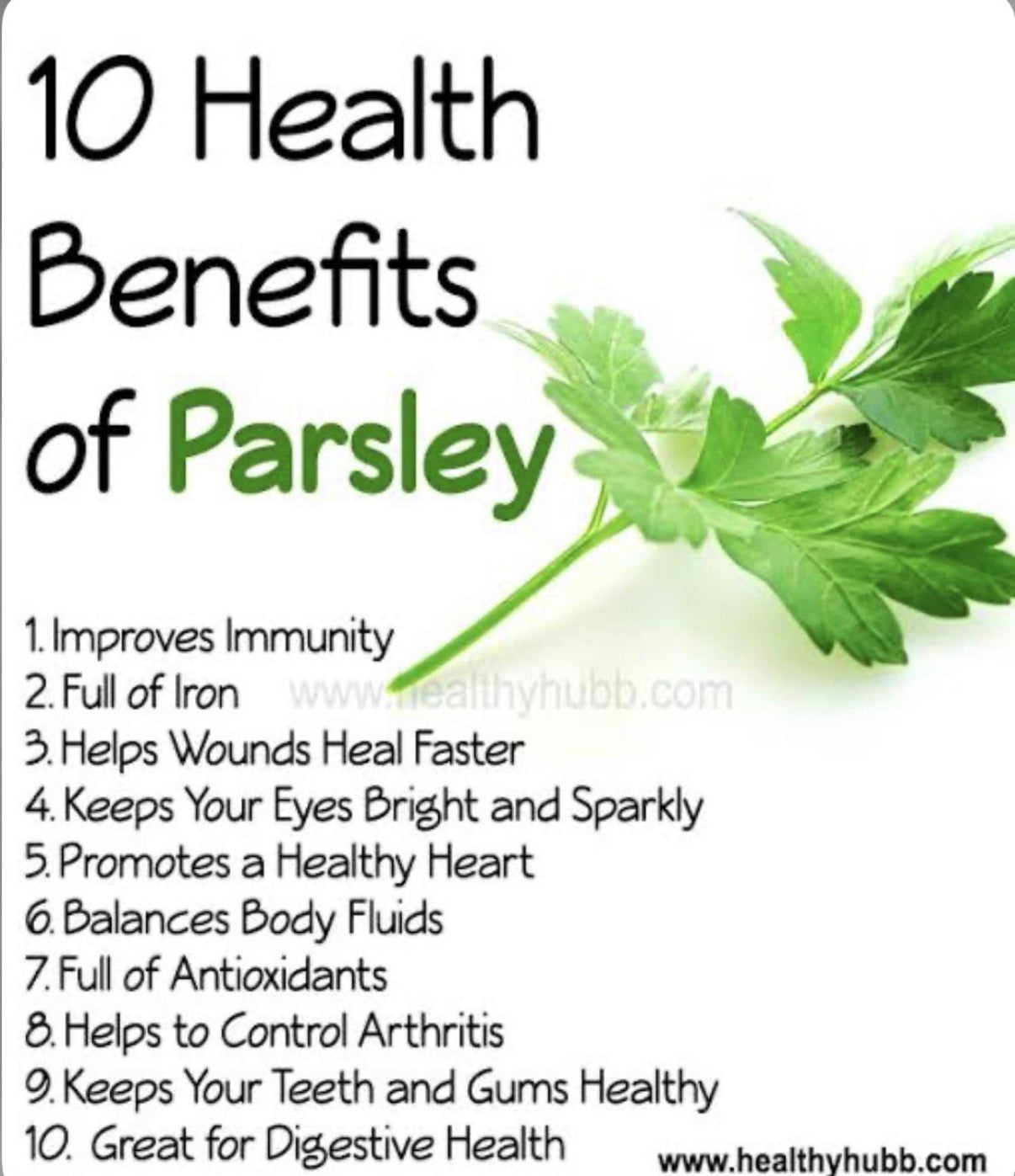 Parsley Flakes – Dried Parsley Leaves for Cooking & Garnishing