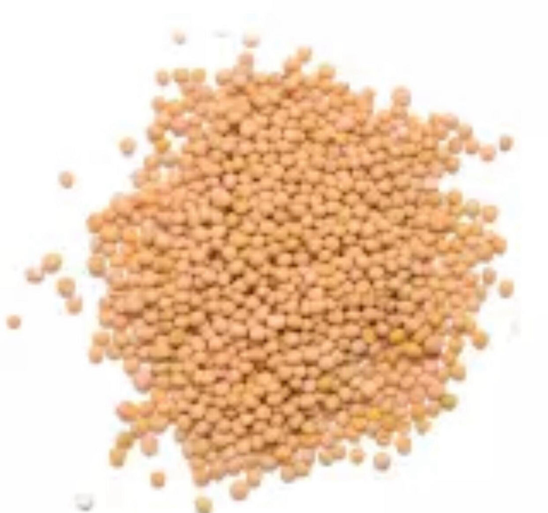 Yellow Mustard Seeds (Whole)