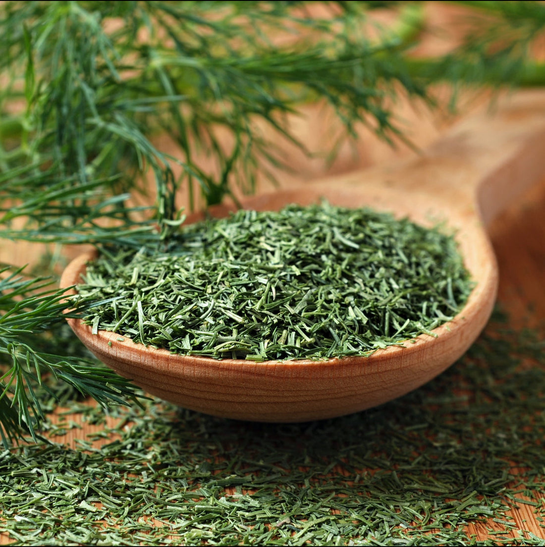Dried Dill