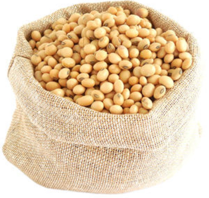 Dry Soybeans – Premium Quality