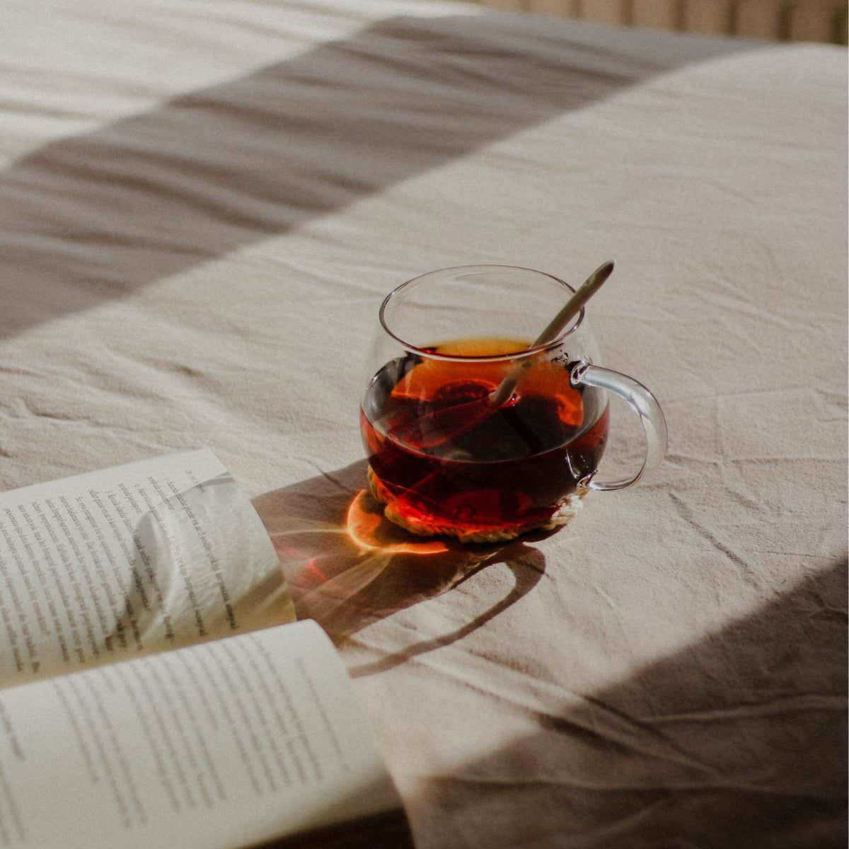 Wild Fruit Infusion Tea – Hummus Elijah