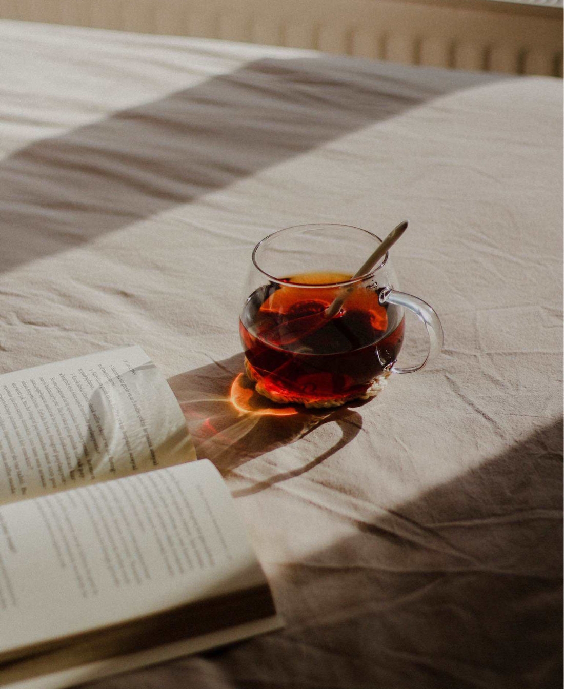 Apple Cinnamon Fruit Tea, Loose Leaf Tea Blend