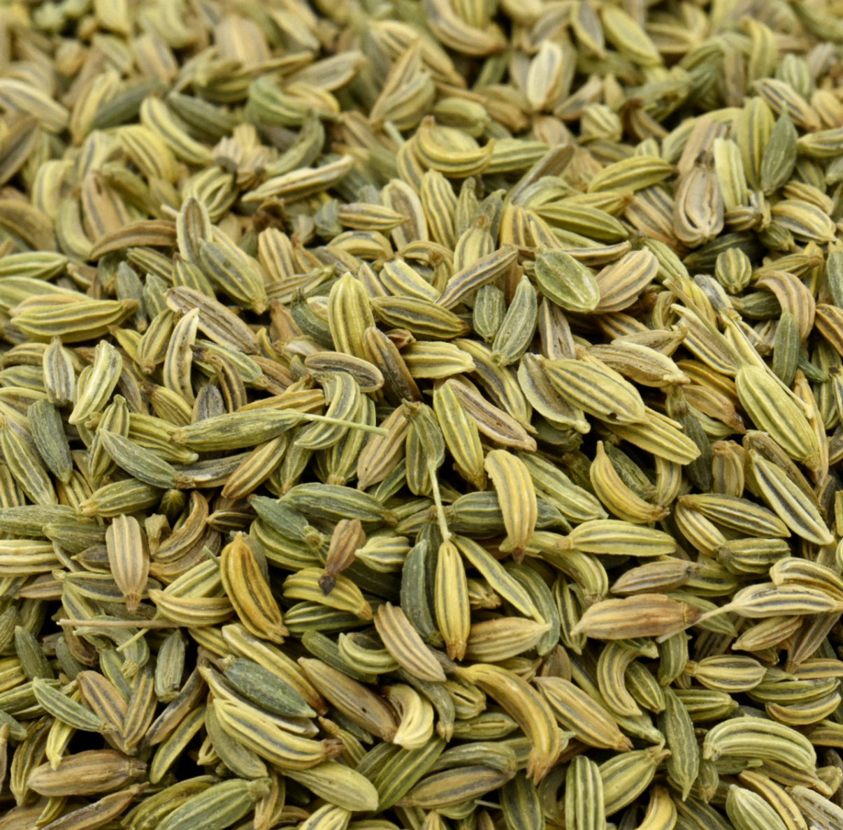 Fennel Seeds (Green Saunf)
(Whole Seeds)