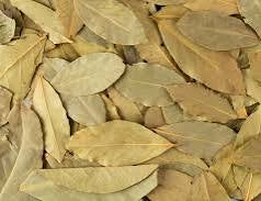 Tejpatta / Tej Patta (Indian Bay Leaves) – Whole Dried Cinnamomum Tamala | Aromatic Indian Spice